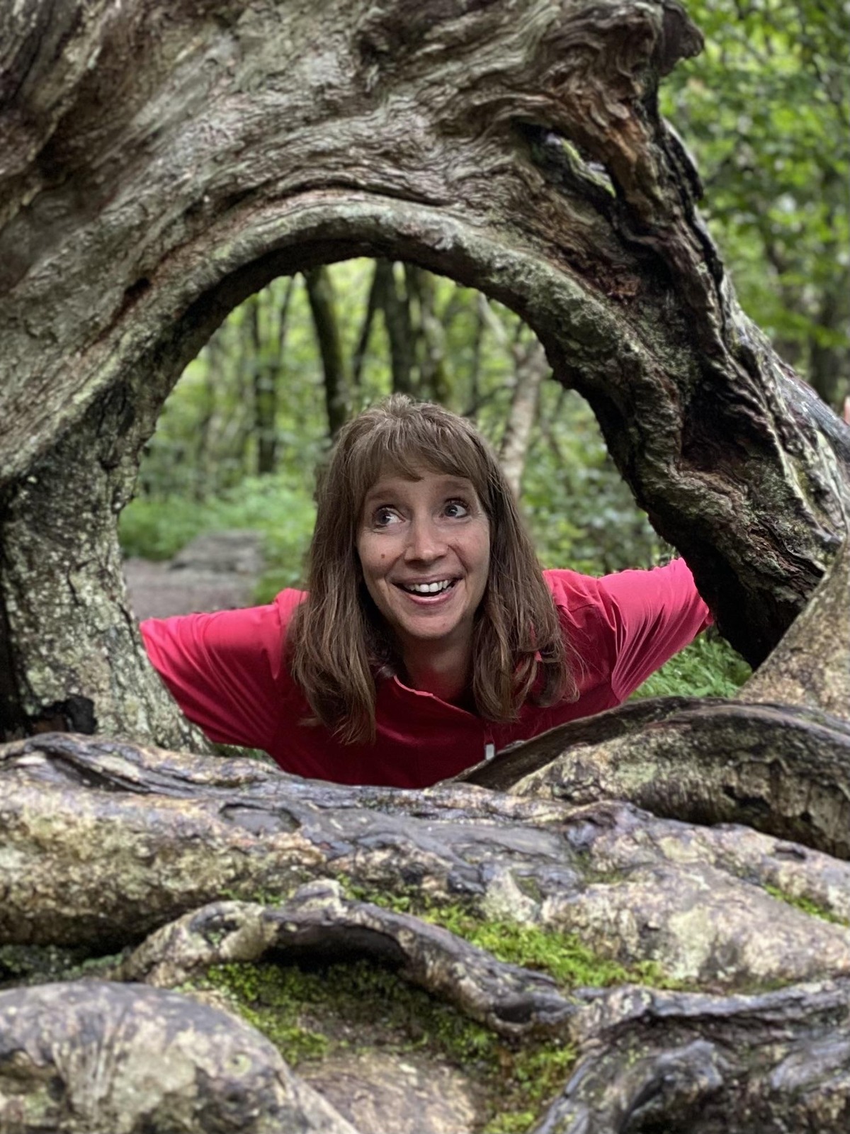 Kris Freeman looking out through tree roots